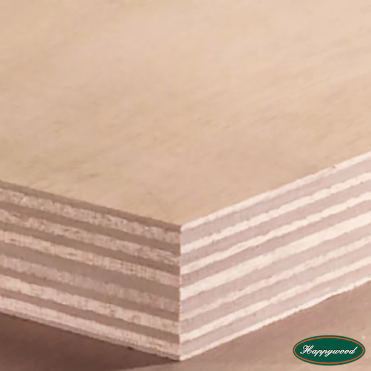 Benefits and drawbacks of plywood flooring